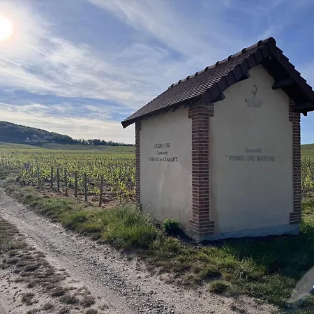 Apartman Edith Piaf- Cramant